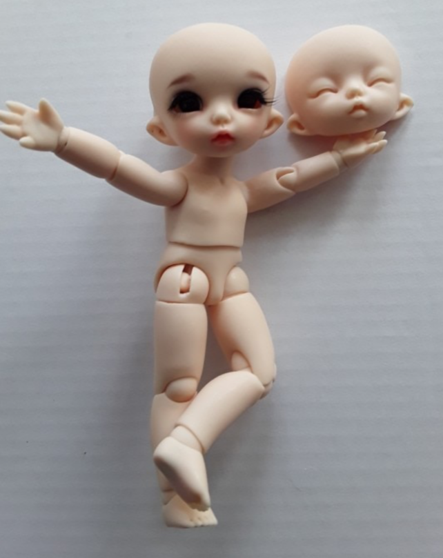fl bjd